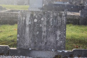 Higgins Michael